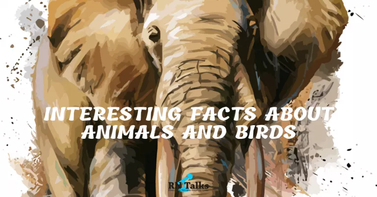 Interesting Facts About Animals And Birds Quiz