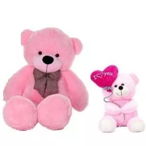 5 feet Pink Teddy Bear Lovable and Huggable Cute Teddy Bear Best for Valentine/Anniversary Someone Special Balloon Teddy 32cm