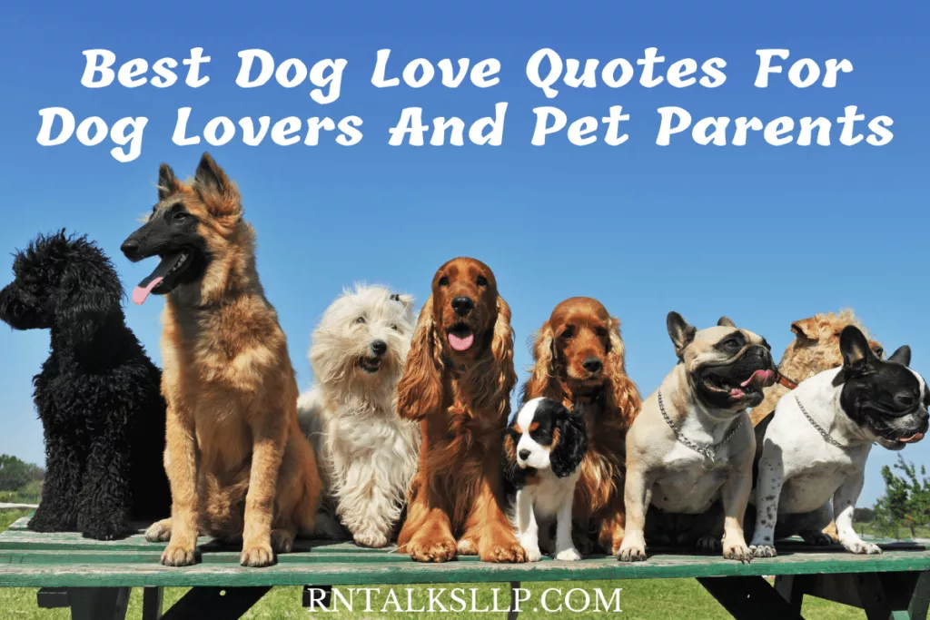 Best Dog Love Quotes For Dog Lovers And Pet Parents