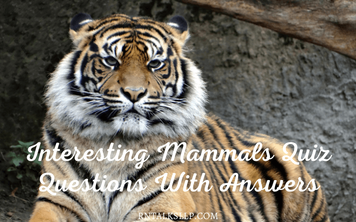 Interesting Mammals Quiz Questions With Answers