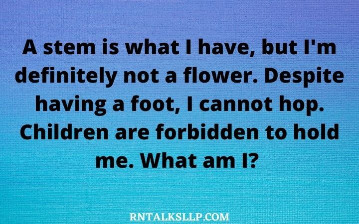 Best Fun Riddles for Kids and Adults