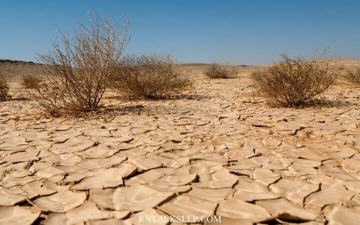Quiz: How Much Do You Know About Desertification and Drought