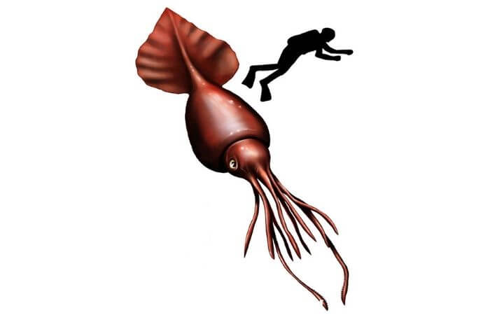 30 RNTalks Deep-Sea Creatures Quiz Questions