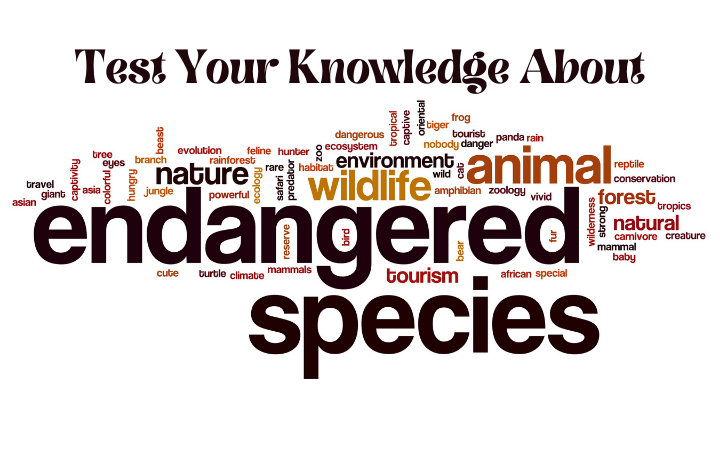 Test Your Knowledge About The Endangered Species