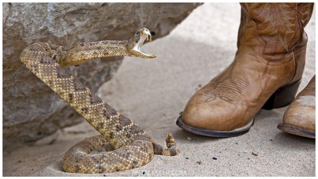 13 Snake Myths Debunked: Debunking Common Myths Surrounding Snakes!