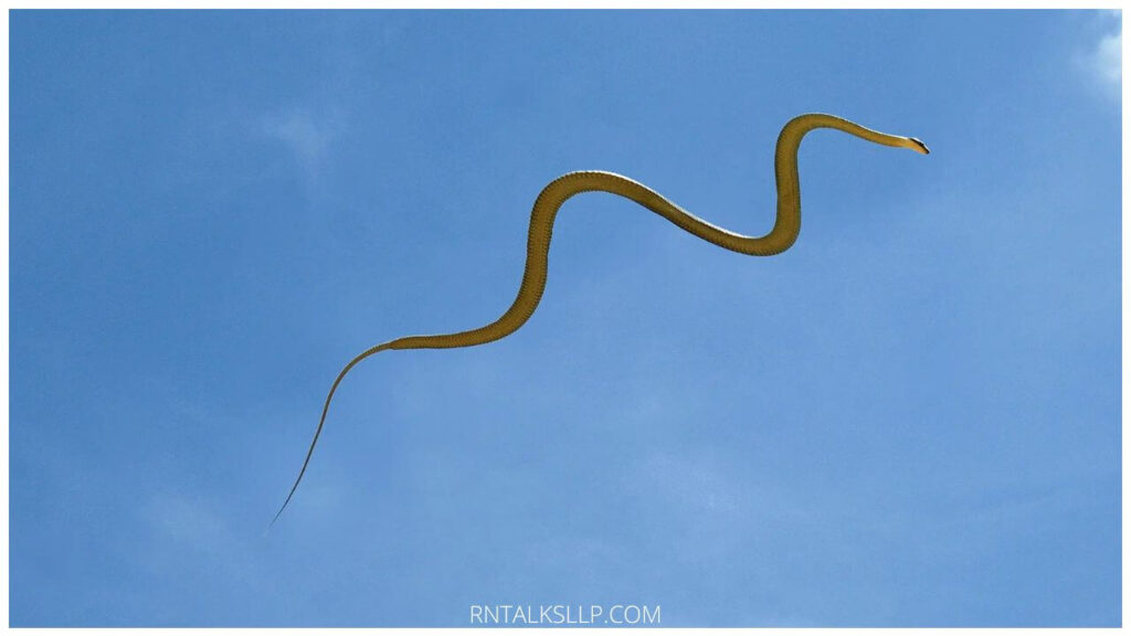 13 Snake Myths Debunked: Debunking Common Myths Surrounding Snakes!