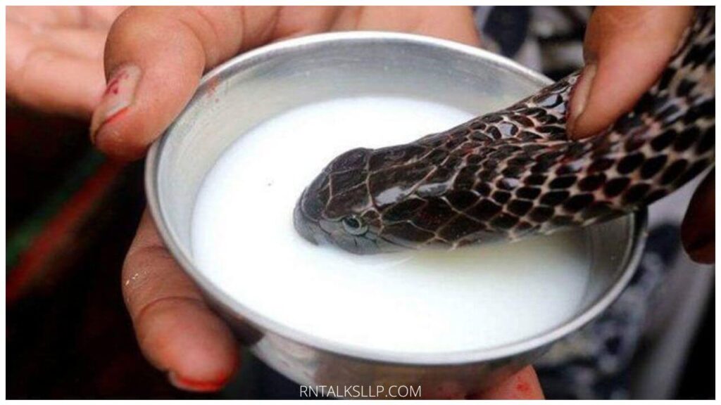 13 Snake Myths Debunked: Debunking Common Myths Surrounding Snakes!