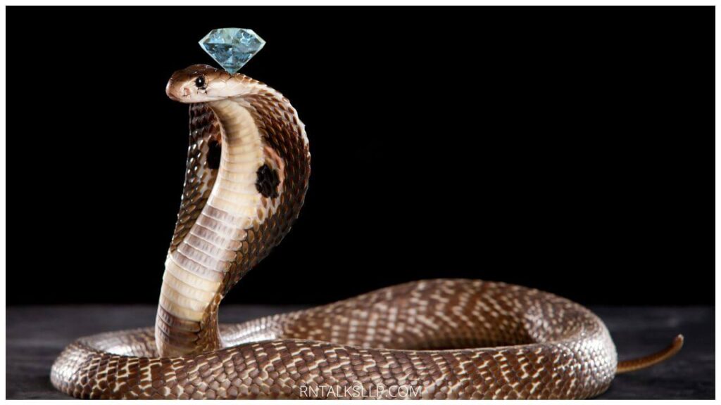 13 Snake Myths Debunked: Debunking Common Myths Surrounding Snakes!