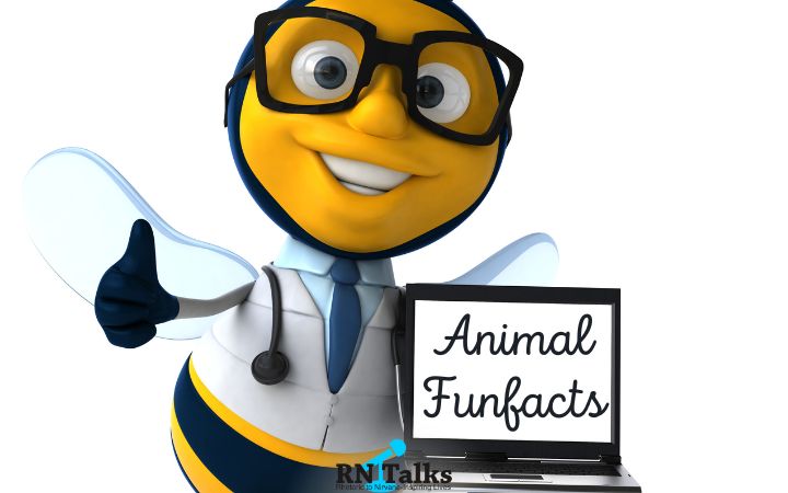 Animal Fun Facts 
